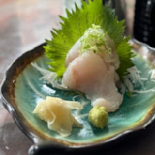 Fluke  ( Hirame )   SA