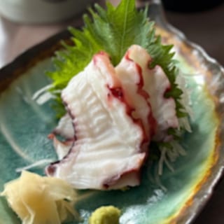 Octopus  ( Tako )    SA