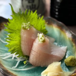 Yellow tail Belly ( Hamachi Toro )   SA