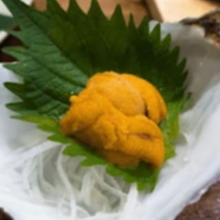 California Uni SA
